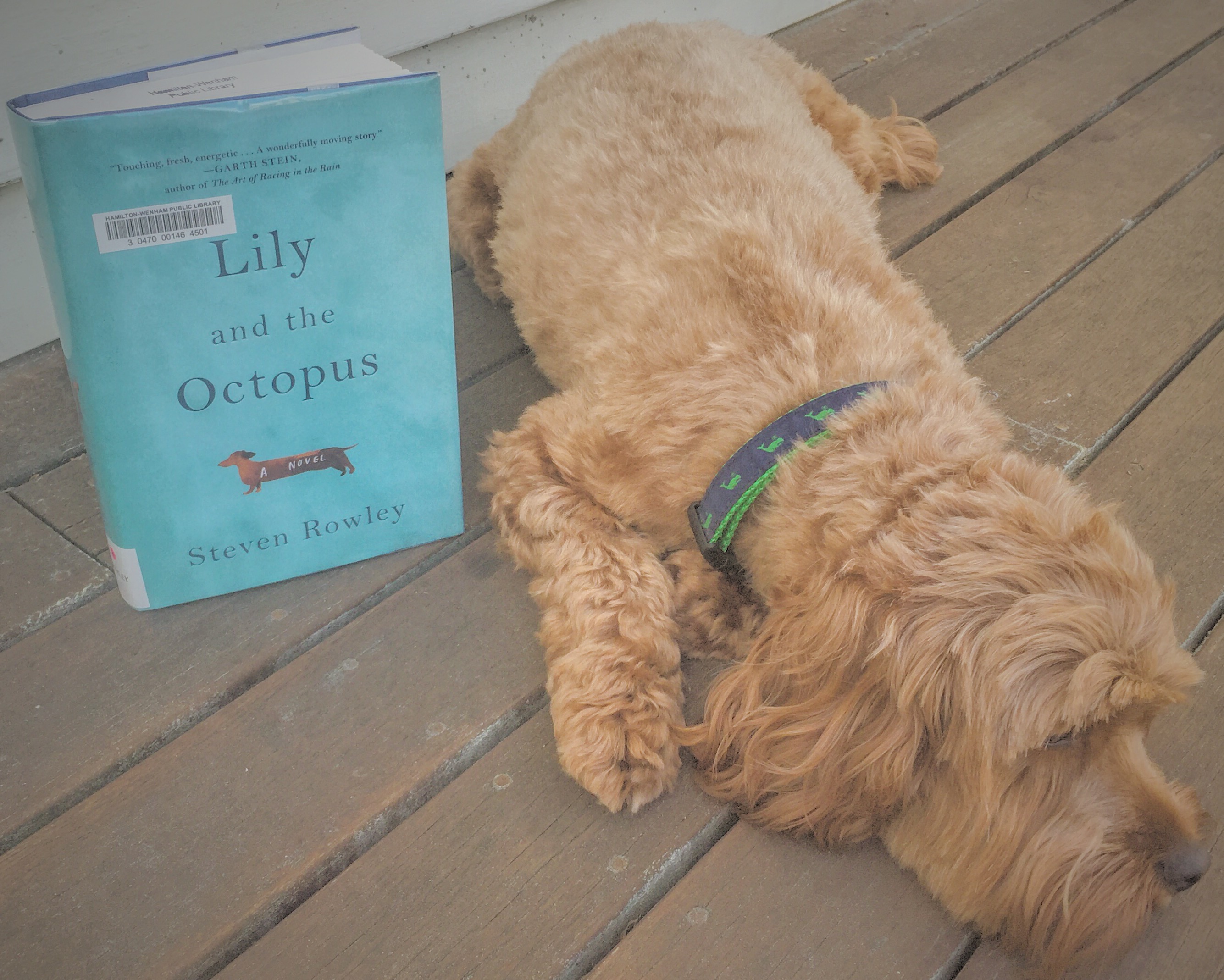 lily and the octopus