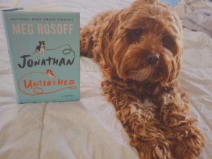 Jonathan Unleashed by Meg Rosoff