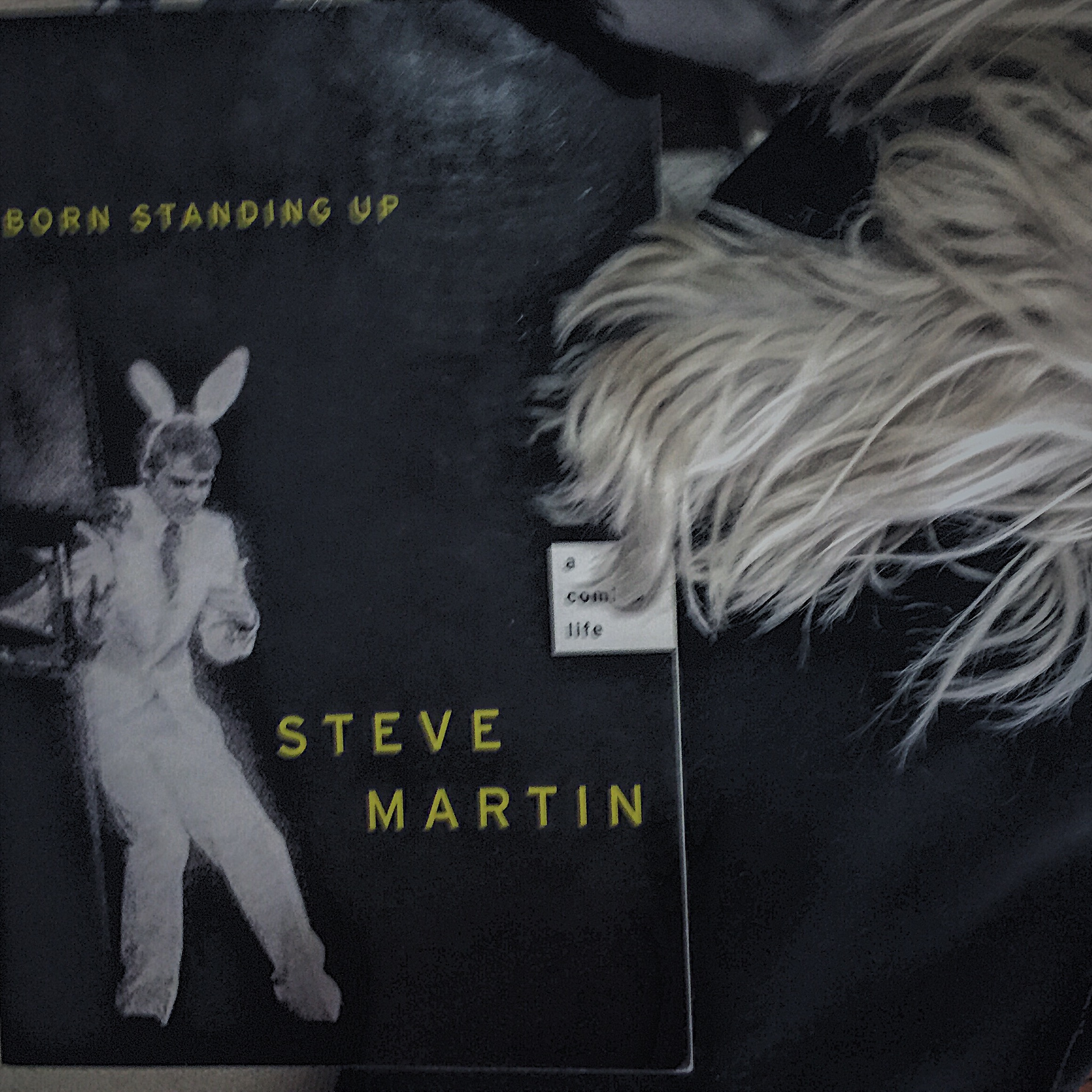 steve martin standing up